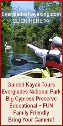 kayak tours florida everglades